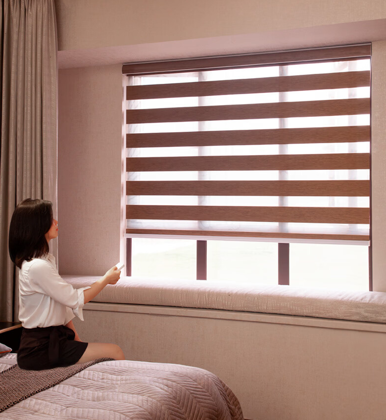 Zebra Blinds Series
